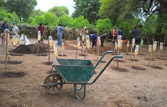 Trabajo comunitario en Rivadavia