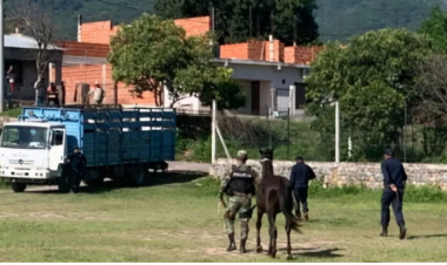 Más sanciones por animales sueltos