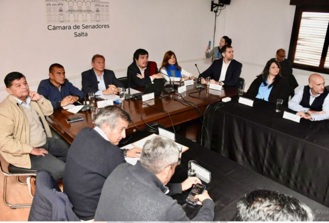 Reunión en el Senado