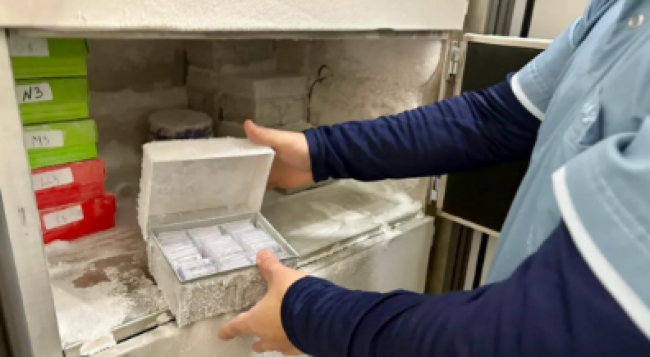 Ciolaboración profesional