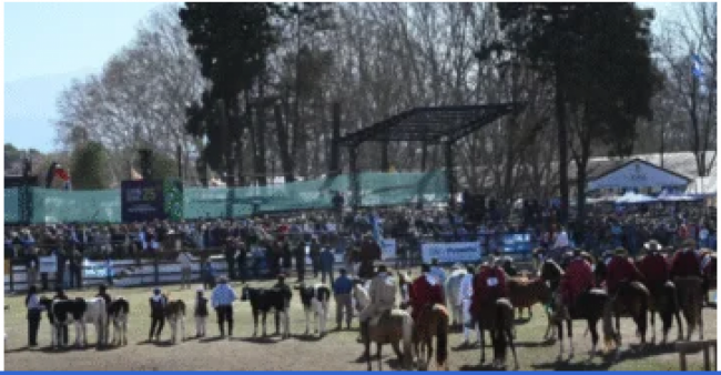 Expo Rural