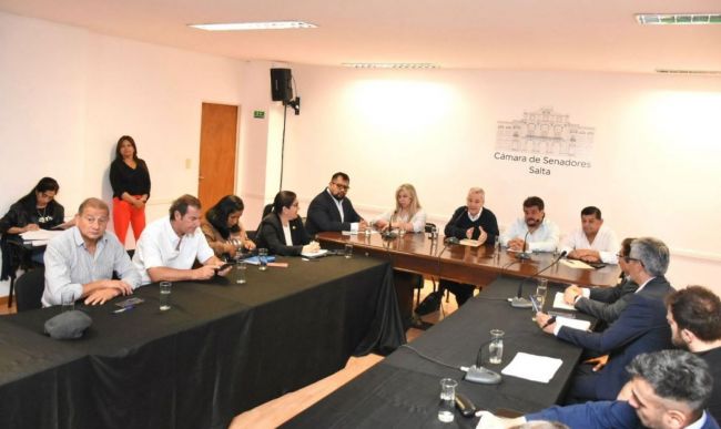 Gerentes de hospitales en el Senado