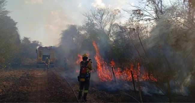 Incendios forestales