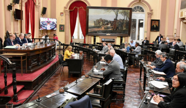 El proyecto pasó a la Cámara de Diputados