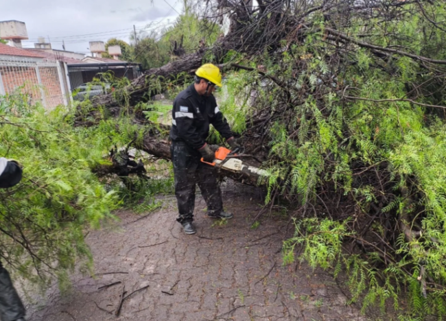 Efectos del temporal