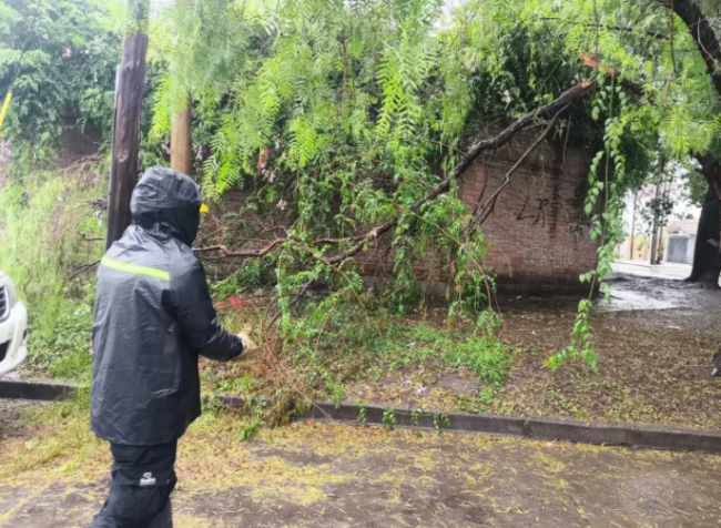 Consecuencias de las lluvias