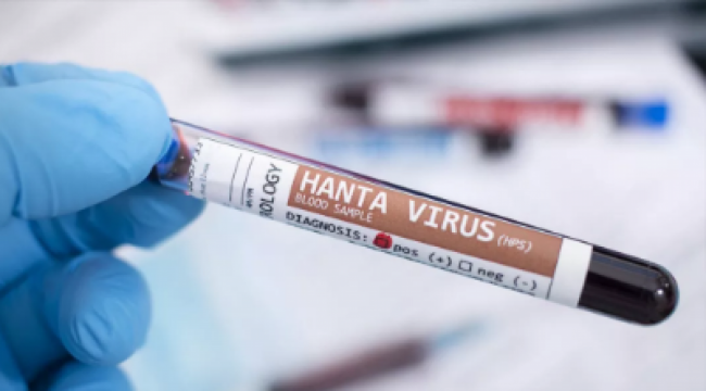 Salta registra 12 casos