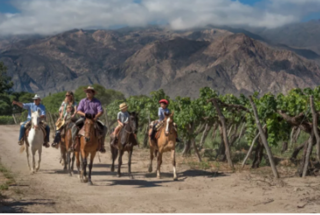 Cifras del turismo en enero