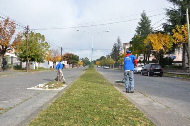 Trabajo en platabandas