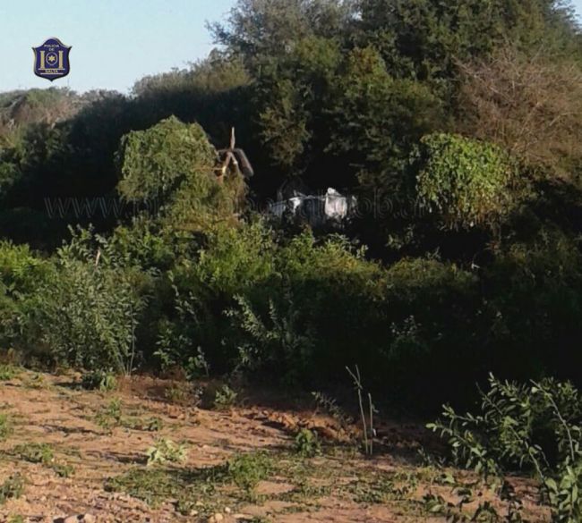 Siniestro vial en La Unión