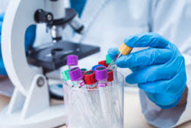 Informe epidemiológico