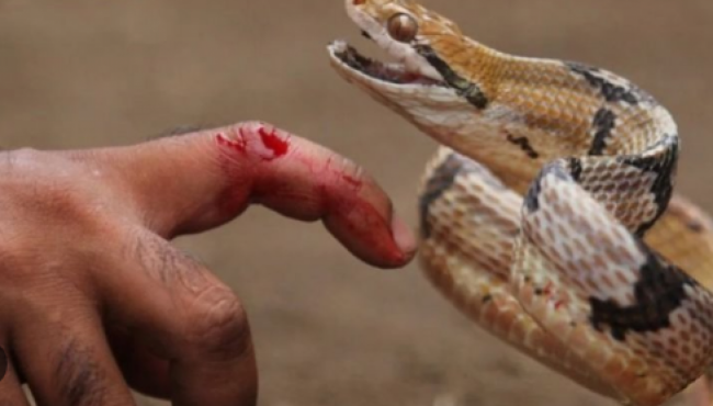 Informe epidemiológico