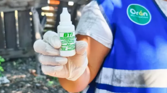 Lucha contra el mosquito