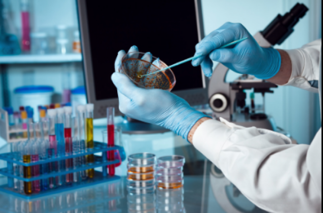 Nueva variante de influenza