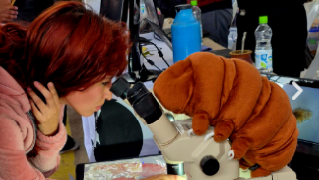 Estudio de invertebrados