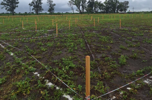 La expo será durante el mes de abril