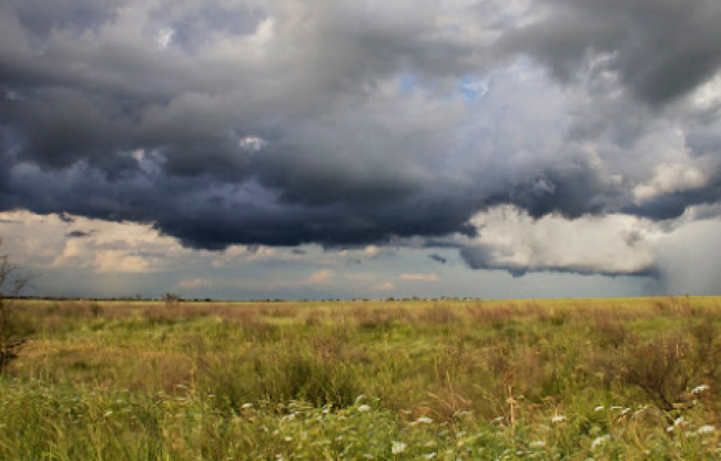 Alerta meteorológica
