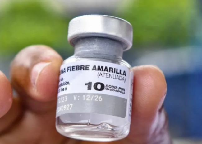 Fiebre amarilla