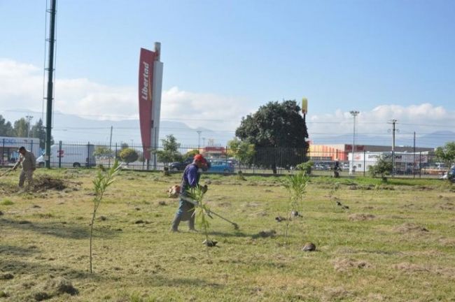 Operarios trabajando