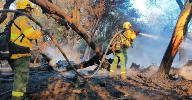 Incendio forestal