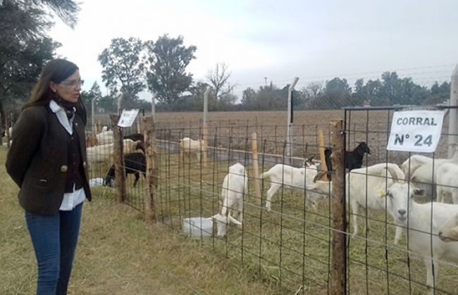 La ministra de educación recorre la muestra