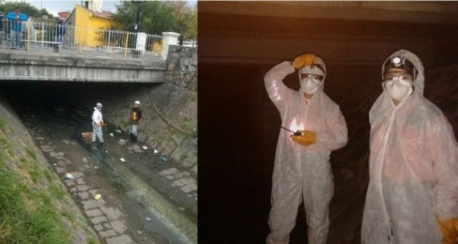 Limpieza en el canal