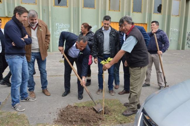 Día internacional del Medio Ambiente
