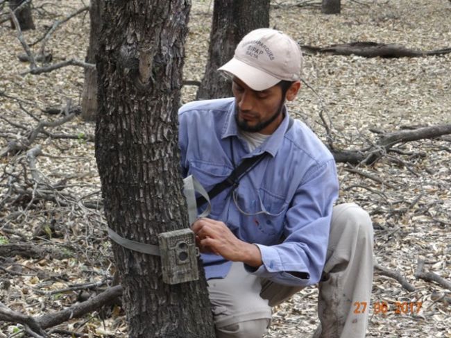 Las cámaras estarán activas hasta setiembre
