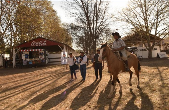 Actividades al aire libre hasta el domingo