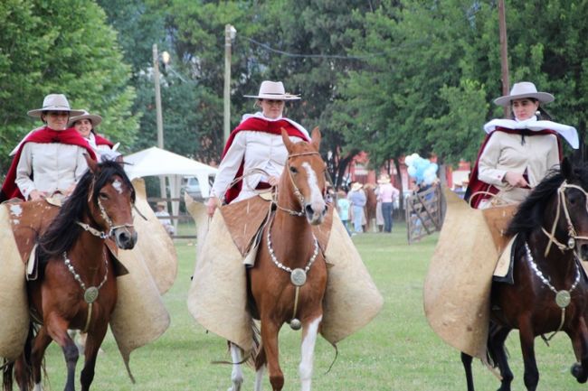 Caballos peruanos de paso