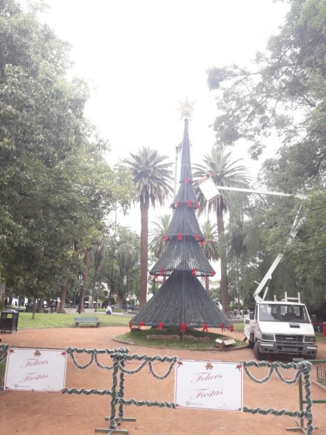Al árbol de plaza 9 de julio