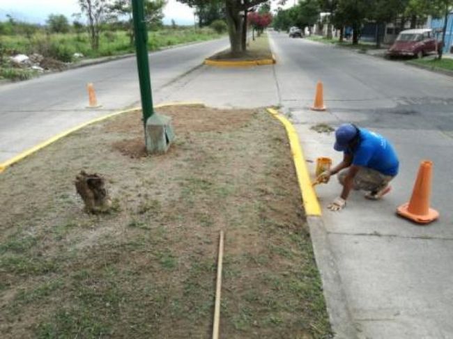 Trabajos en platabandas