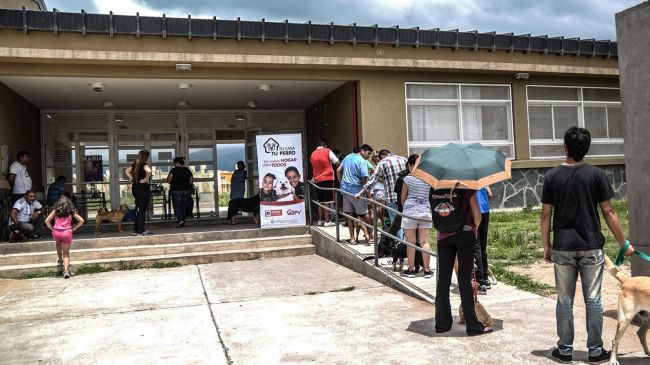 Jornada de vacunación