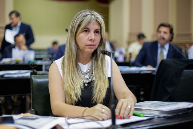 Diputada Alejandra Navarro