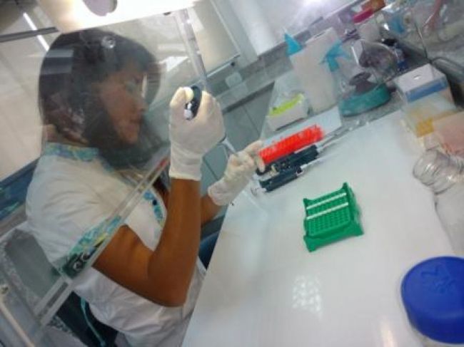 Actividad en el Laboratorio