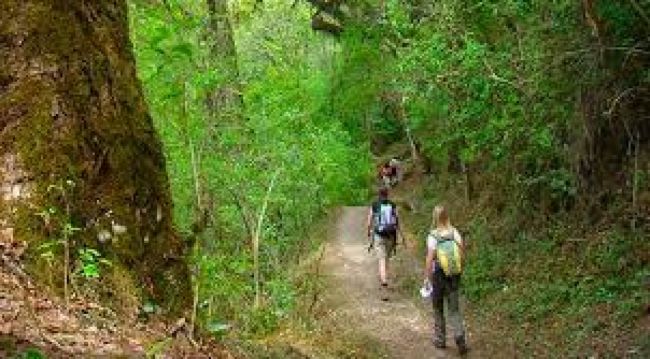 Quebrada de San Lorenzo