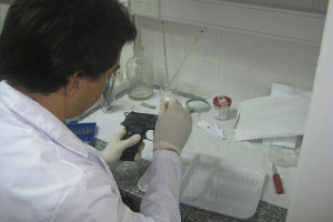 El arma fue peritada