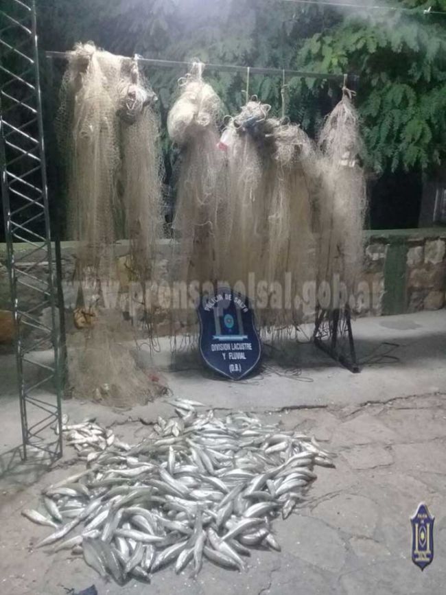 elementos secuestrados