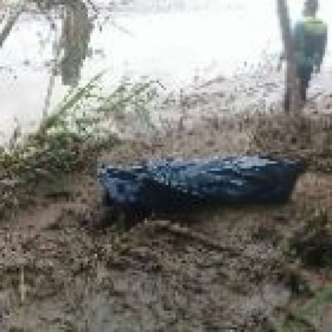 Hallazgo en el río Bermejo   Crédito foto #Periodicodigitalsanmartin