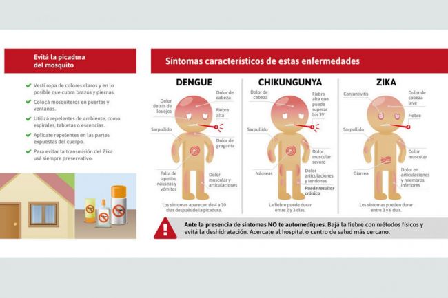 Sin dengue en Salta