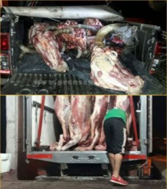 Decomiso de carne de vaca