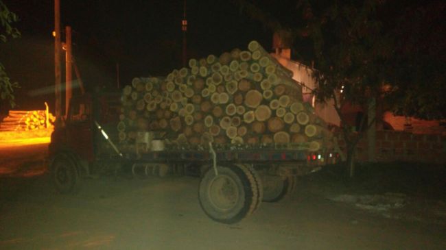 Secuestraron madera de urundel, palo blanco y cebil