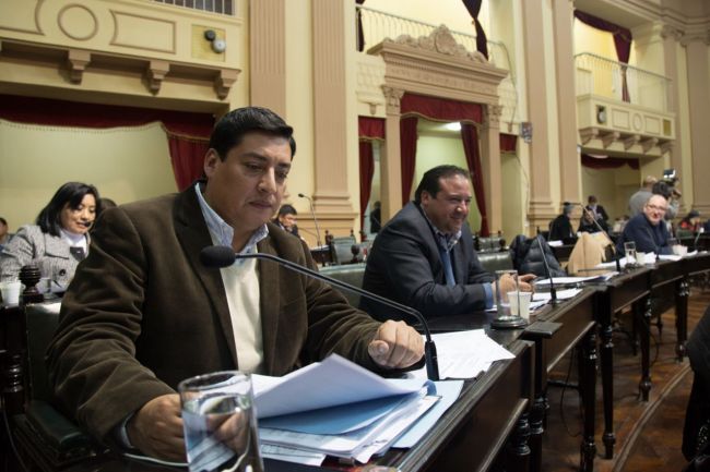 Se redujo el número original de artículos de la Carta Municipal