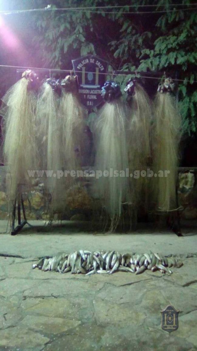 Operativo en el dique