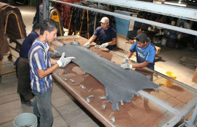 Trabajadores