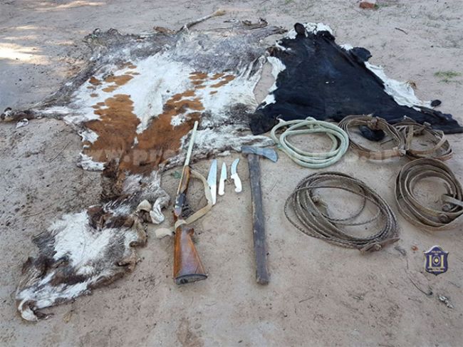 Elementos requisados