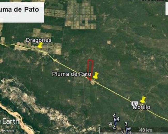 Ubicación de Pluma de Pato