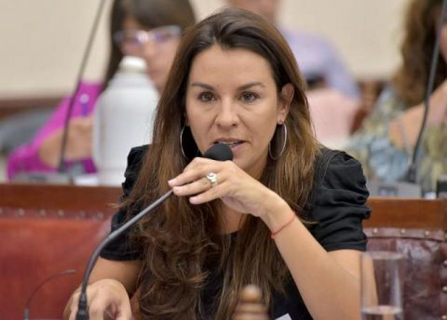 Concejal Mariana Reyes