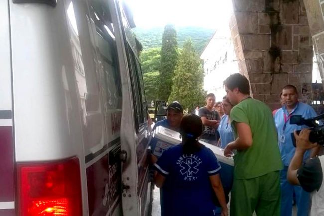 Sexto operativo de ablación del año