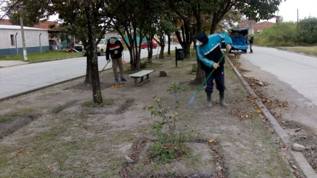 Trabajos en platabandas